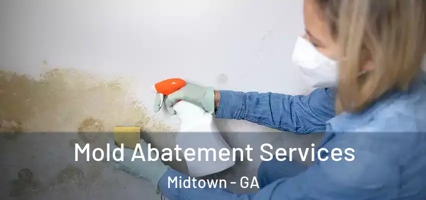  Mold Abatement Services Midtown - GA
