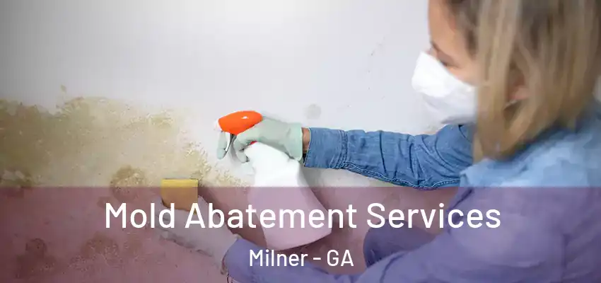  Mold Abatement Services Milner - GA