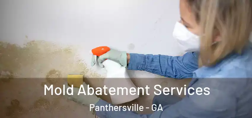 Mold Abatement Services Panthersville - GA