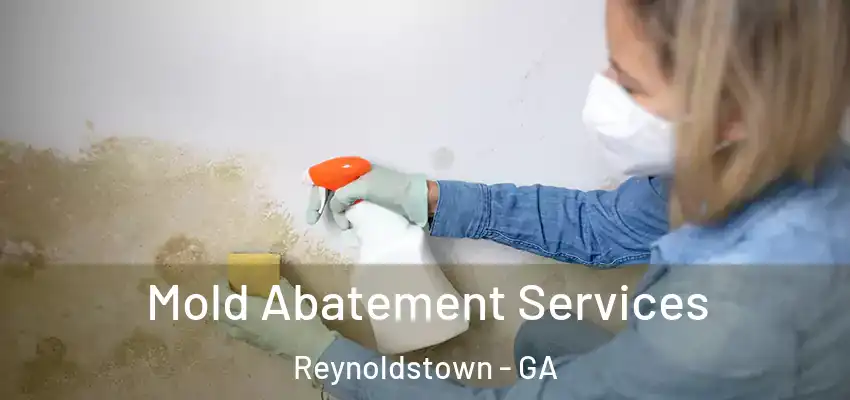  Mold Abatement Services Reynoldstown - GA