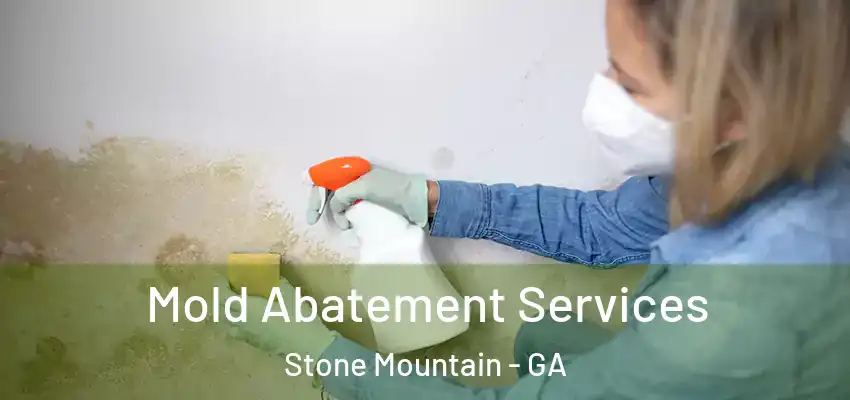  Mold Abatement Services Stone Mountain - GA