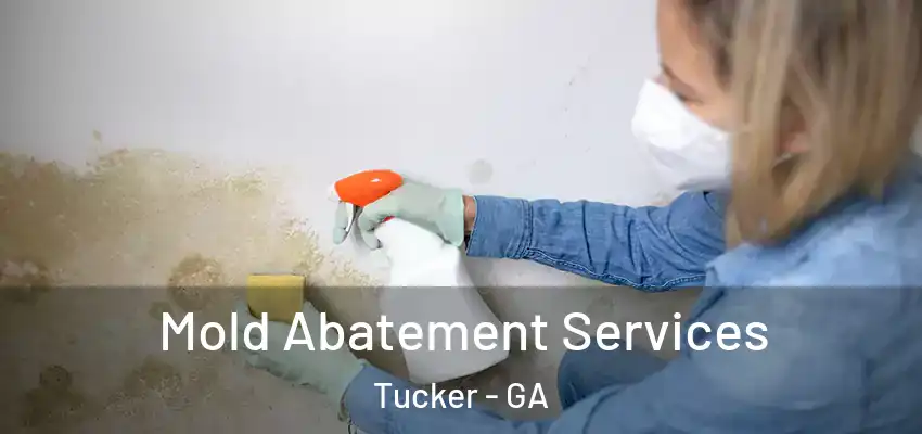 Mold Abatement Services Tucker - GA