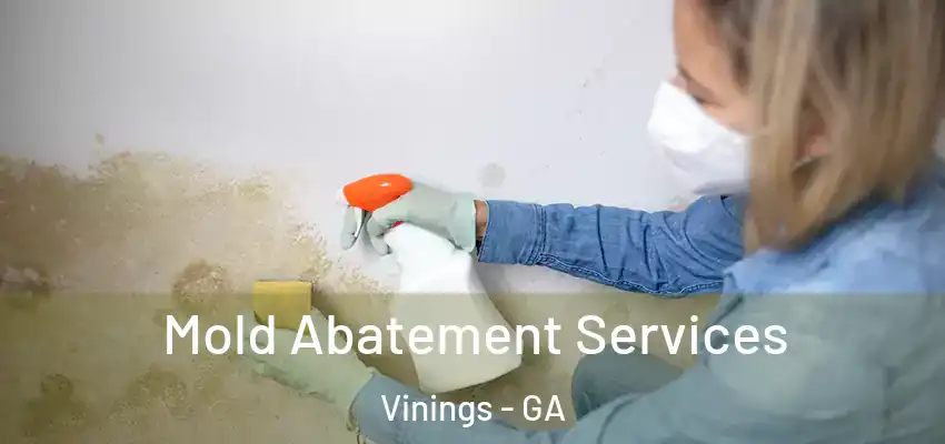  Mold Abatement Services Vinings - GA