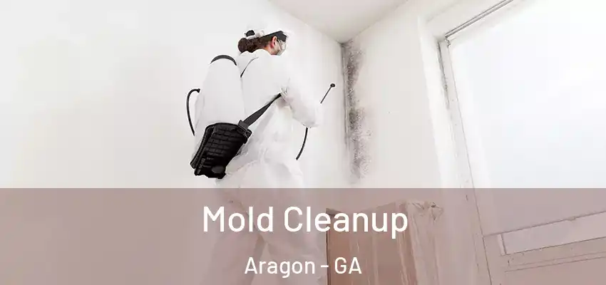  Mold Cleanup Aragon - GA