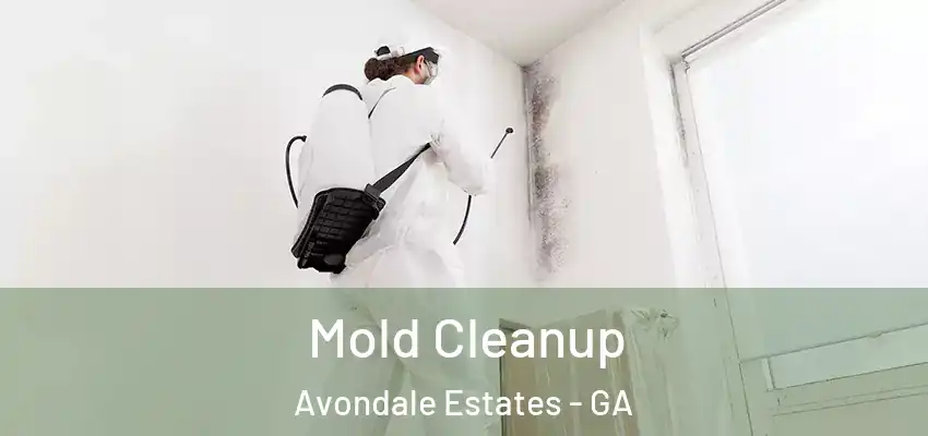 Mold Cleanup Avondale Estates - GA