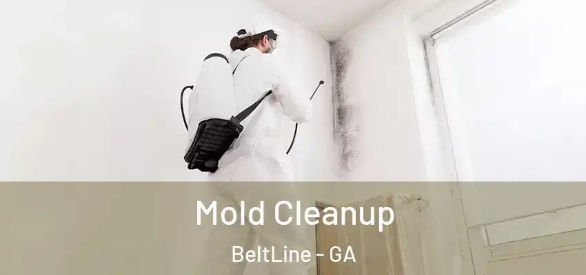 Mold Cleanup BeltLine - GA