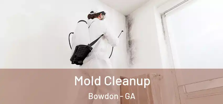 Mold Cleanup Bowdon - GA