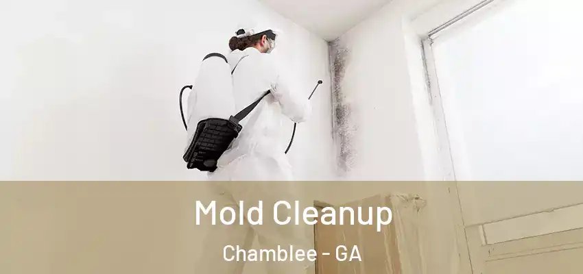 Mold Cleanup Chamblee - GA