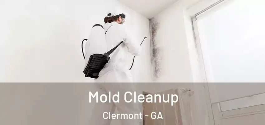 Mold Cleanup Clermont - GA