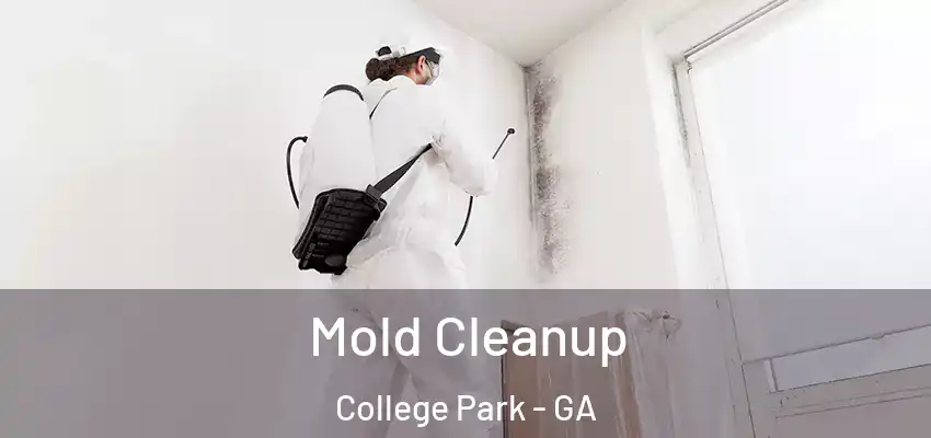  Mold Cleanup College Park - GA