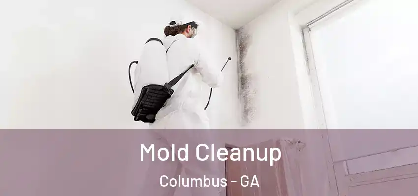 Mold Cleanup Columbus - GA