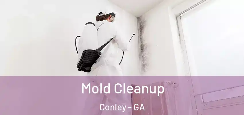  Mold Cleanup Conley - GA