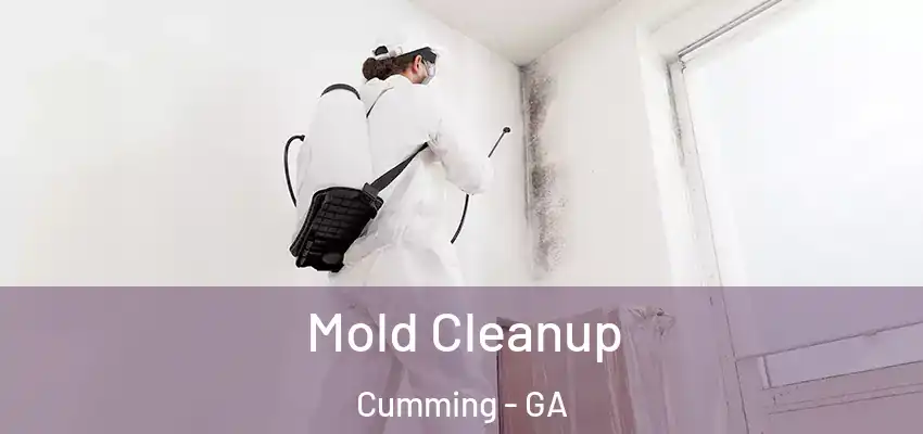 Mold Cleanup Cumming - GA