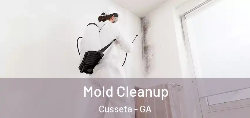 Mold Cleanup Cusseta - GA