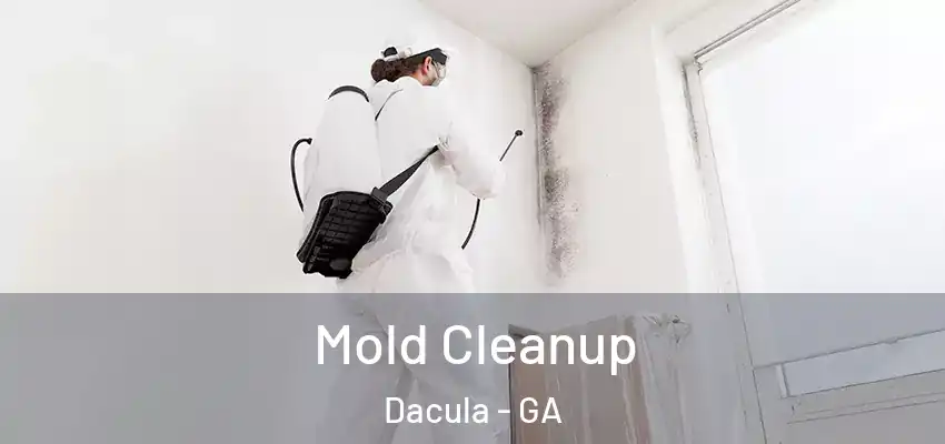  Mold Cleanup Dacula - GA