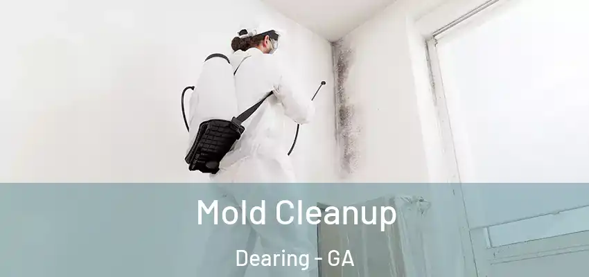  Mold Cleanup Dearing - GA