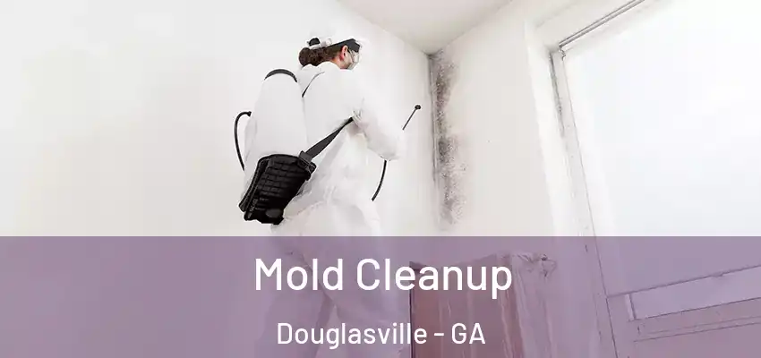 Mold Cleanup Douglasville - GA