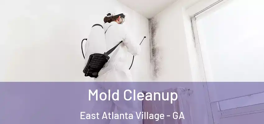 Mold Cleanup East Atlanta Village - GA