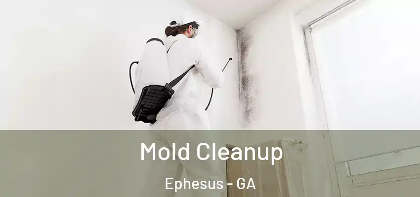 Mold Cleanup Ephesus - GA