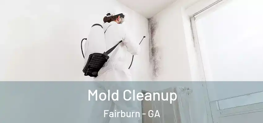  Mold Cleanup Fairburn - GA