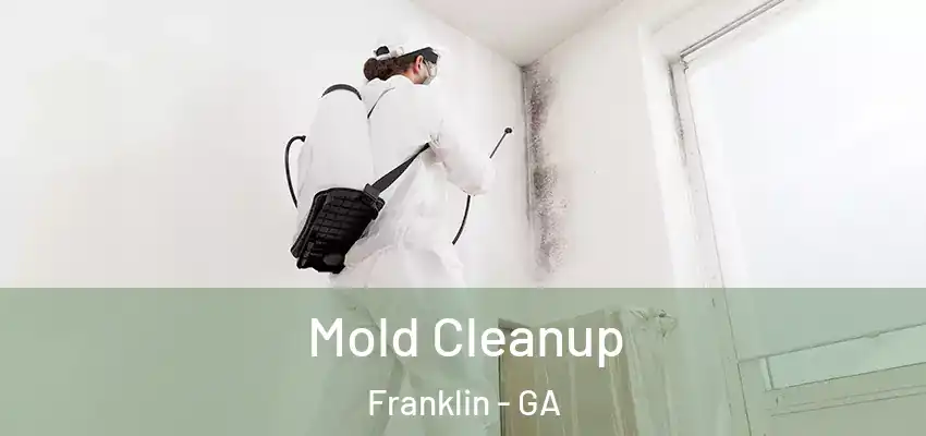 Mold Cleanup Franklin - GA