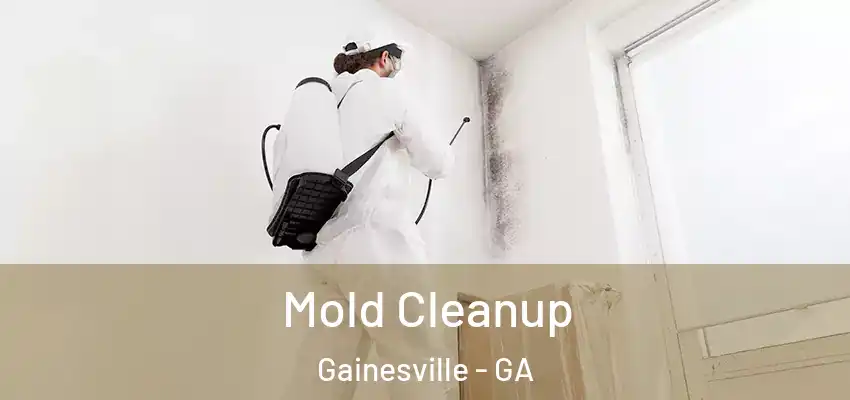  Mold Cleanup Gainesville - GA