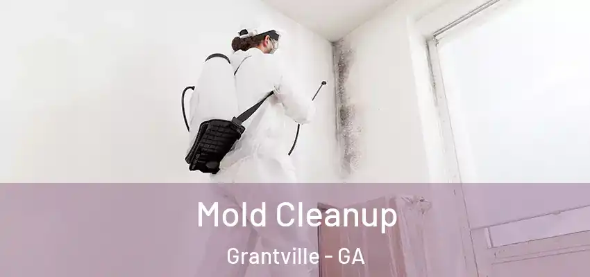 Mold Cleanup Grantville - GA