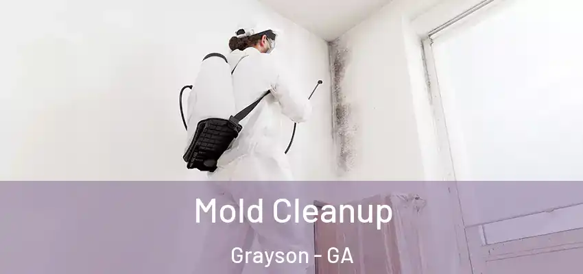  Mold Cleanup Grayson - GA