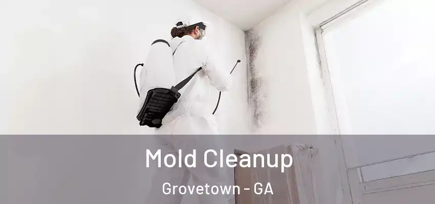 Mold Cleanup Grovetown - GA
