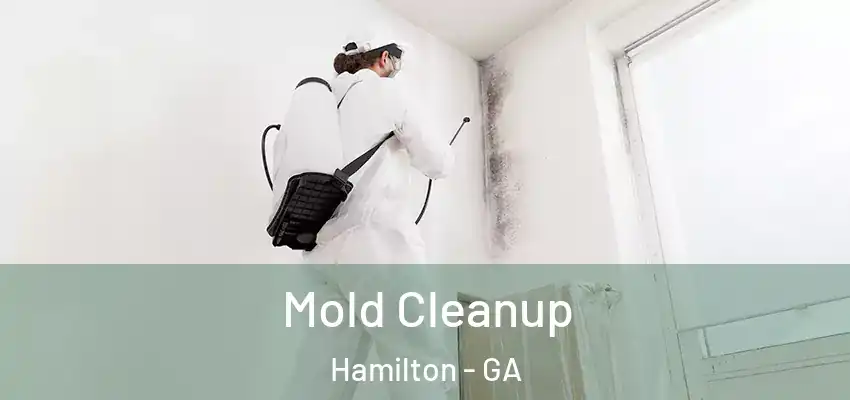 Mold Cleanup Hamilton - GA