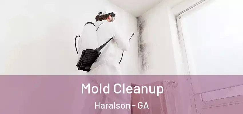  Mold Cleanup Haralson - GA