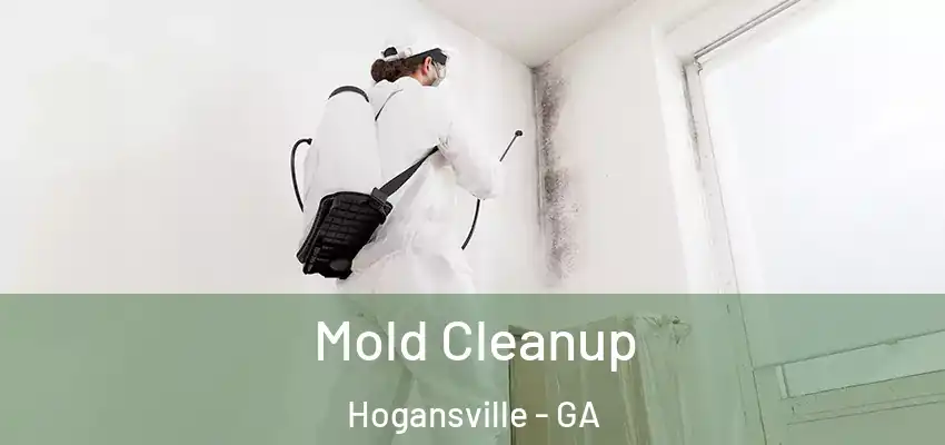  Mold Cleanup Hogansville - GA