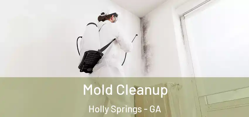  Mold Cleanup Holly Springs - GA