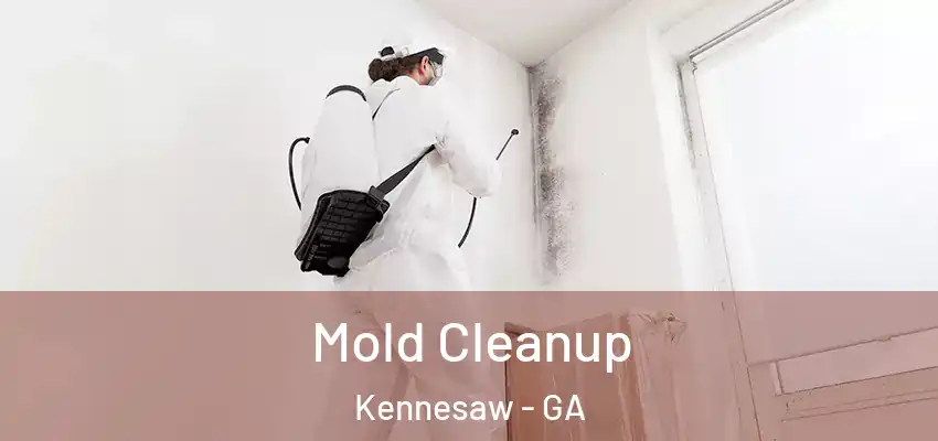  Mold Cleanup Kennesaw - GA