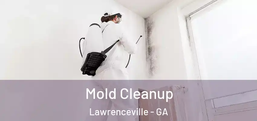  Mold Cleanup Lawrenceville - GA