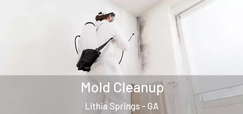  Mold Cleanup Lithia Springs - GA