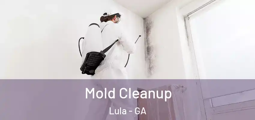  Mold Cleanup Lula - GA