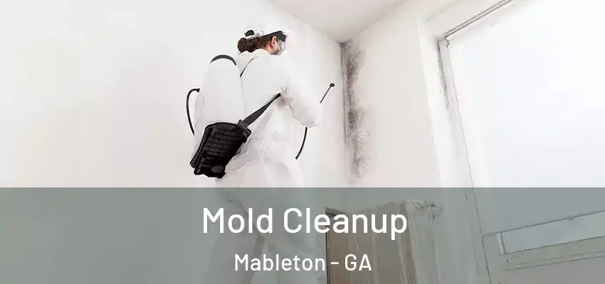  Mold Cleanup Mableton - GA