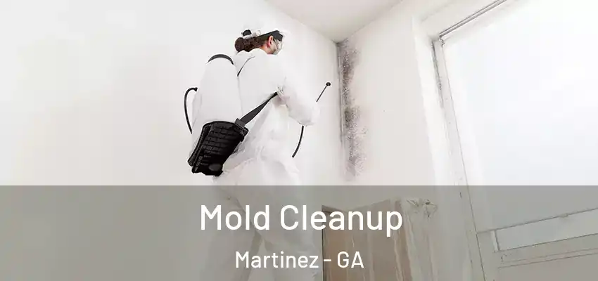  Mold Cleanup Martinez - GA