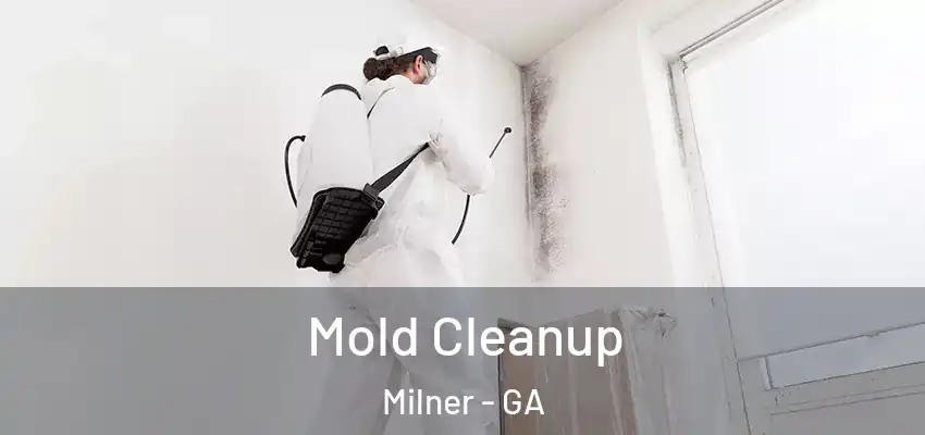 Mold Cleanup Milner - GA