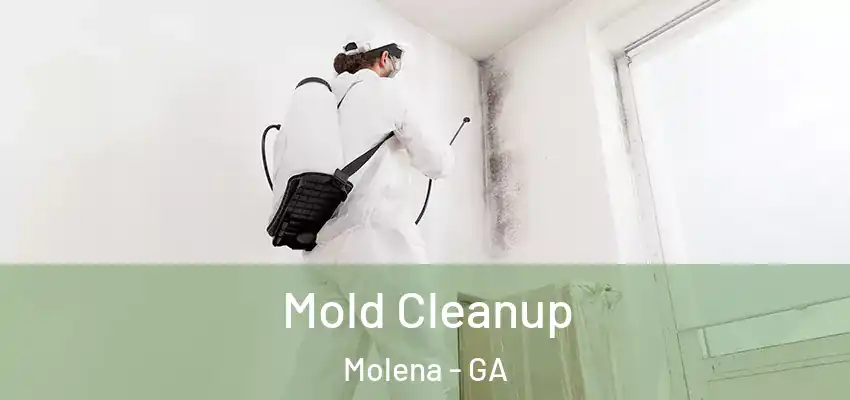 Mold Cleanup Molena - GA