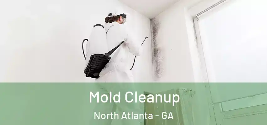  Mold Cleanup North Atlanta - GA