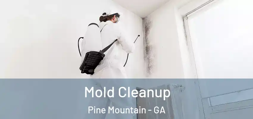 Mold Cleanup Pine Mountain - GA