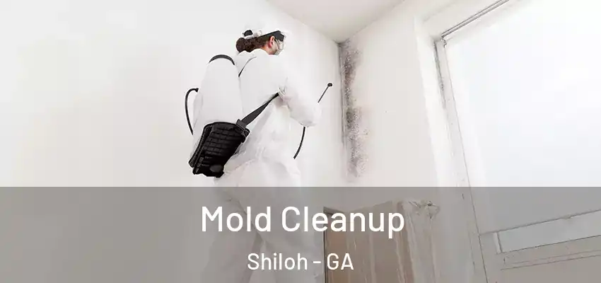  Mold Cleanup Shiloh - GA