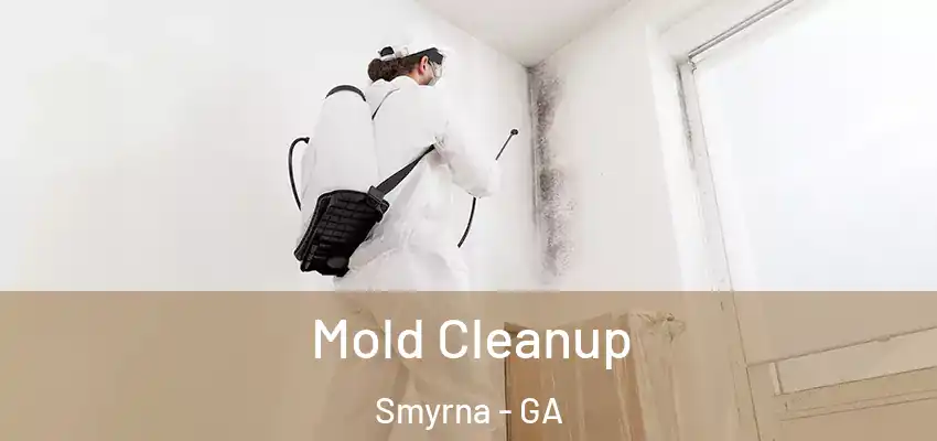 Mold Cleanup Smyrna - GA