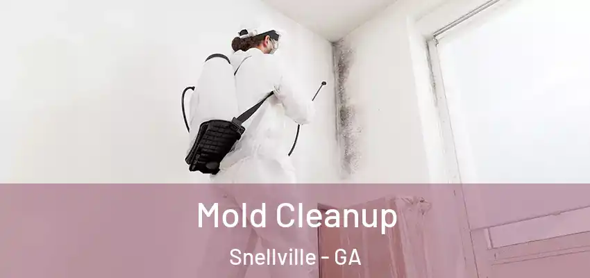  Mold Cleanup Snellville - GA