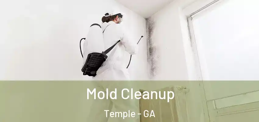  Mold Cleanup Temple - GA