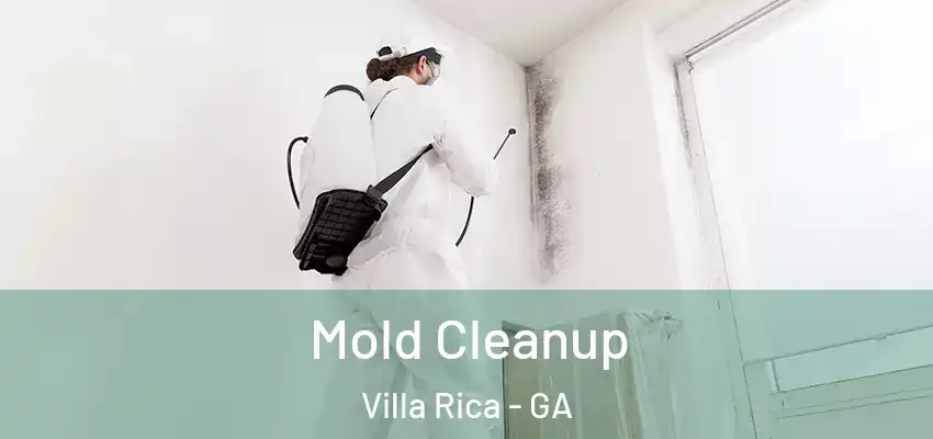  Mold Cleanup Villa Rica - GA