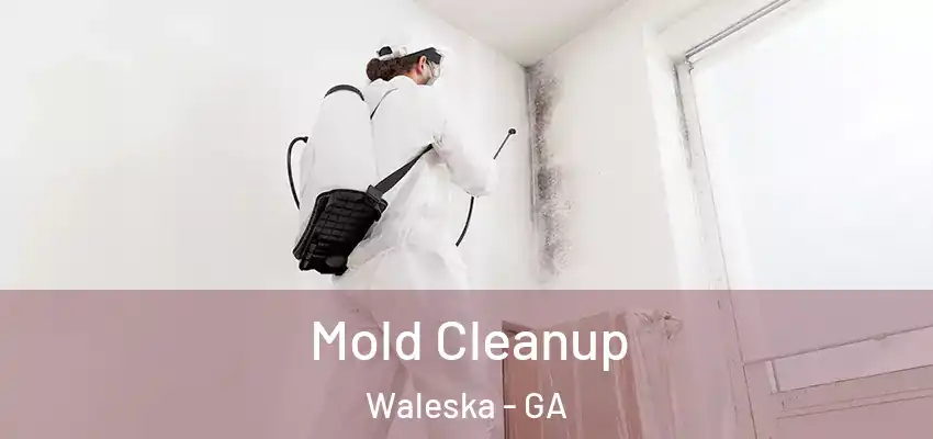  Mold Cleanup Waleska - GA