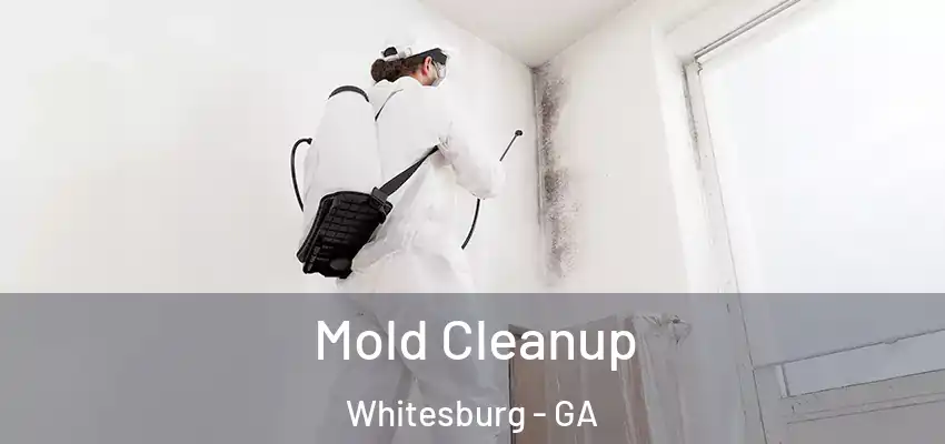  Mold Cleanup Whitesburg - GA